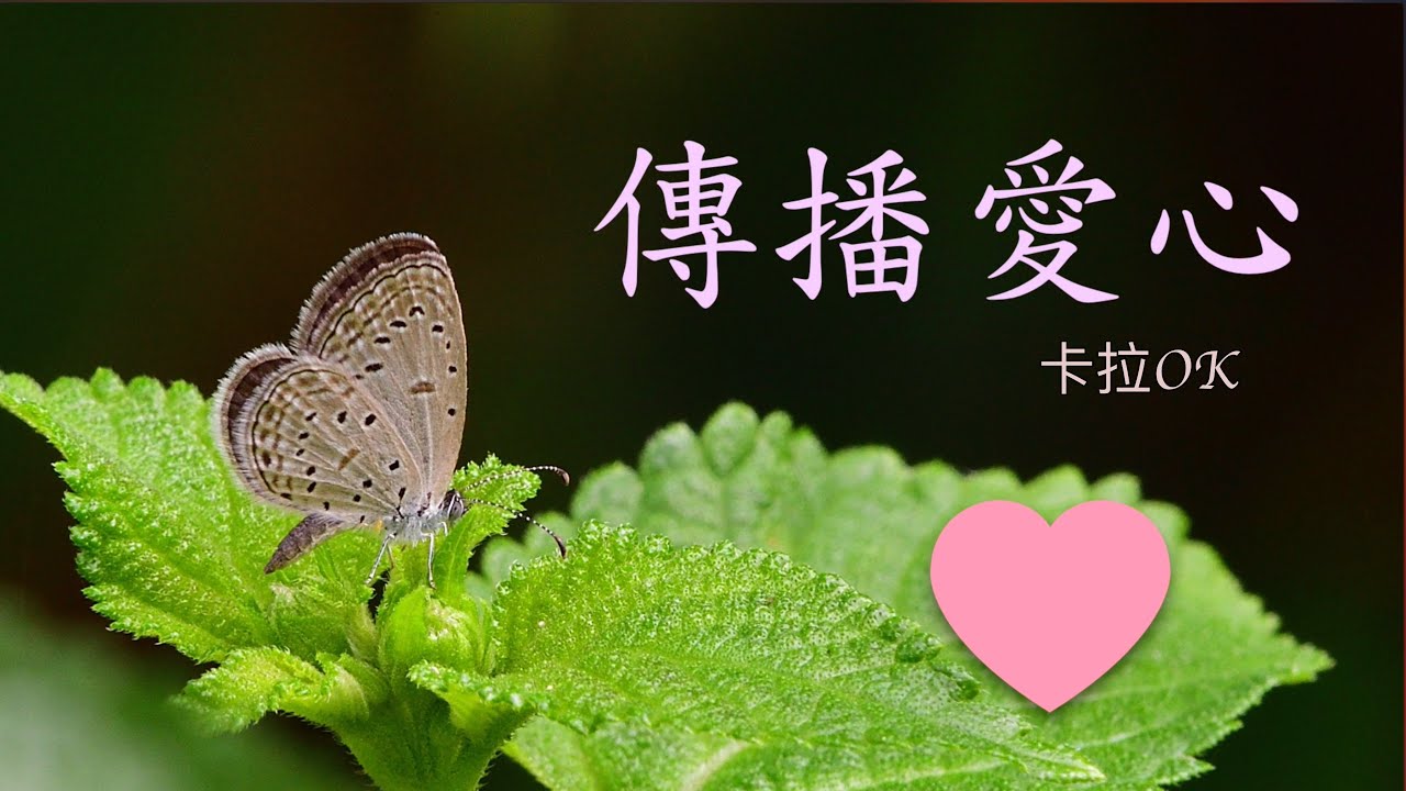 【傳播愛心 卡拉OK】(讓愛走動)｜粵語卡拉OKMV｜基督教JC歌