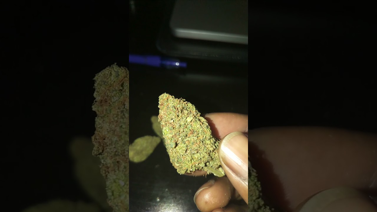 Sorbet Strain - Tested 18% THC - Super Dense & Frosty