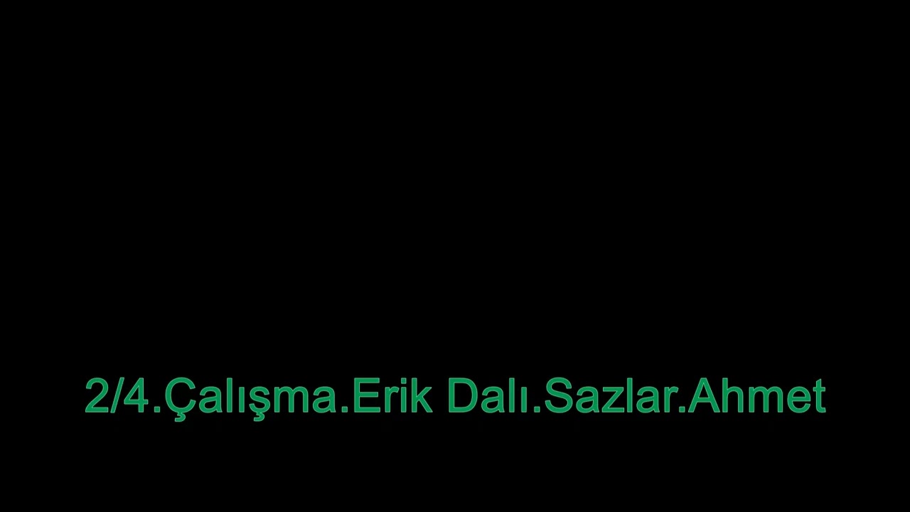 24.Çalışma.Erik Dalı.Sazlar.Ahmet