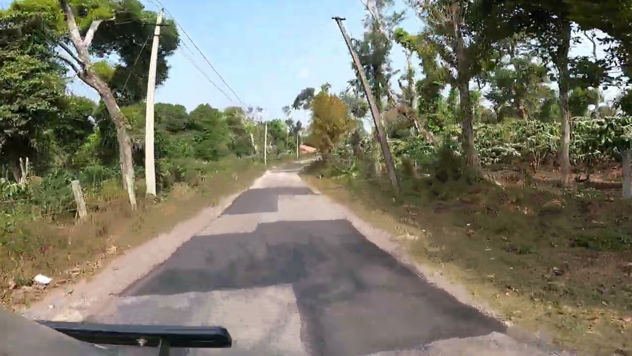 Coffee plantation ride