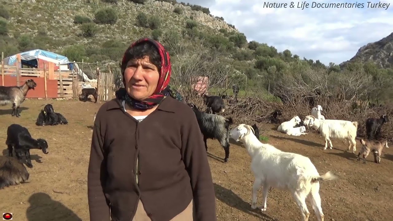 Son Göçer Yörük Çobanlar