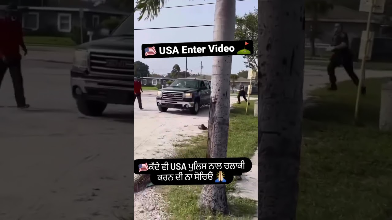 usa canada whatsApp status video #mexicoborder #2numbri #america #donkey #donkey2023