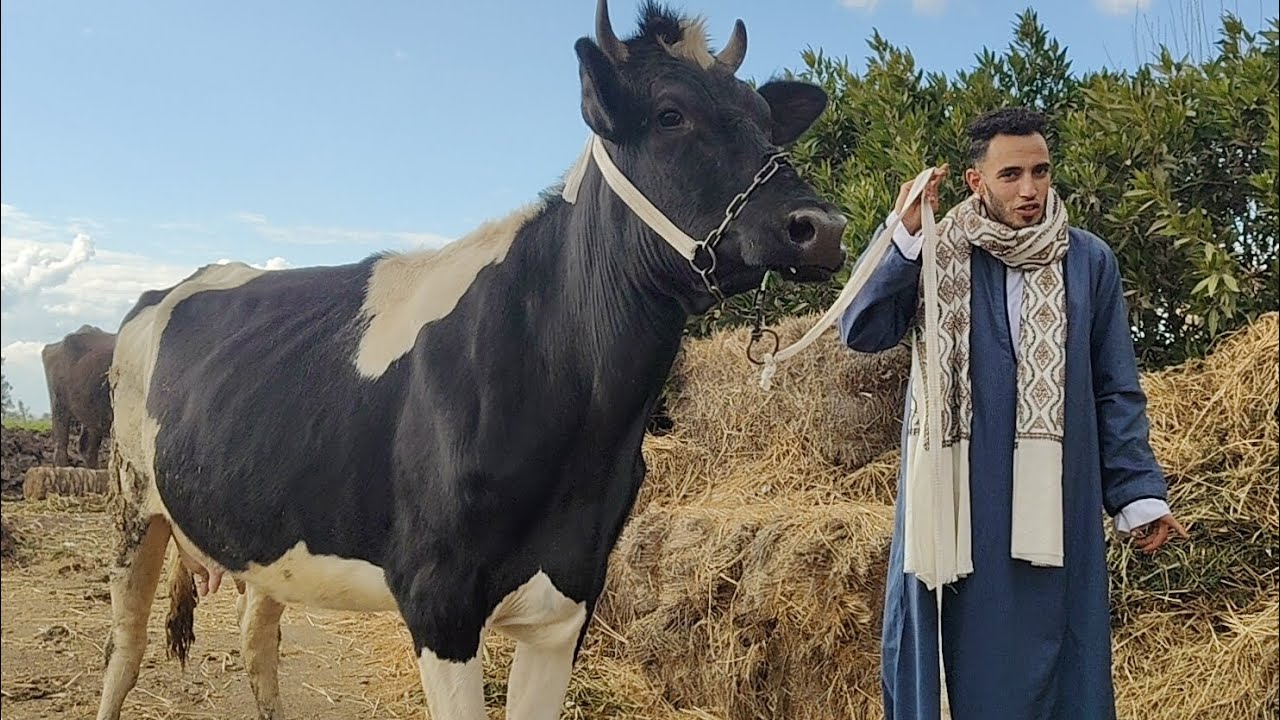 ٧ مارس ٢٠٢٦