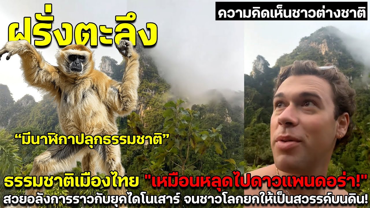 ฝรั่งตะลึง ธรรมชาติเมืองไทย 