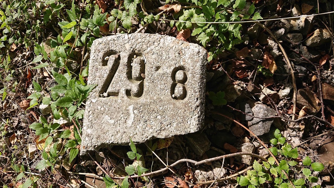 Erlauftalbahn (Bhf. Scheibbs KM 27.0 - Bhf. Kienberg-Gaming KM 37.5)