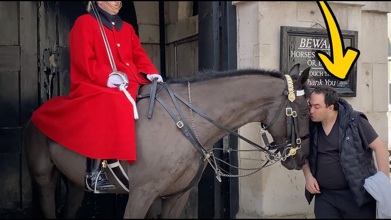 Don't Provoke the Horse!! Why this Tourist Returned 7 times Just to Touch the Horse?!  🫨😳