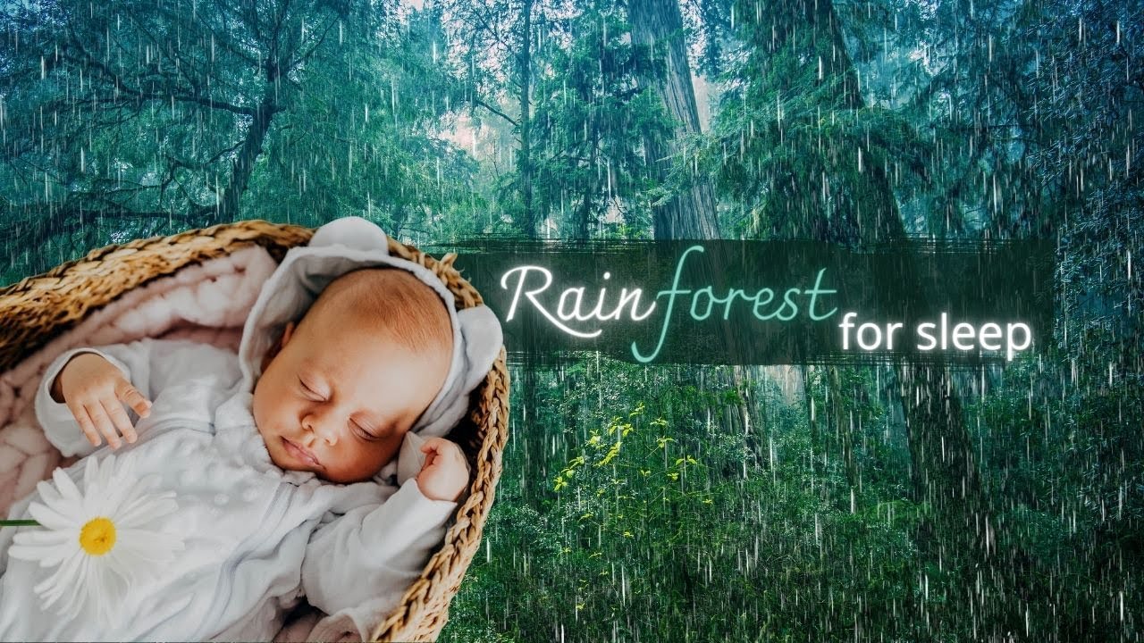 𝟯 звуки усыпят малыша за 𝟯 минут ❢ шум дождя в лесу 🌧 пение птиц 🦉 шум ветра 🍃