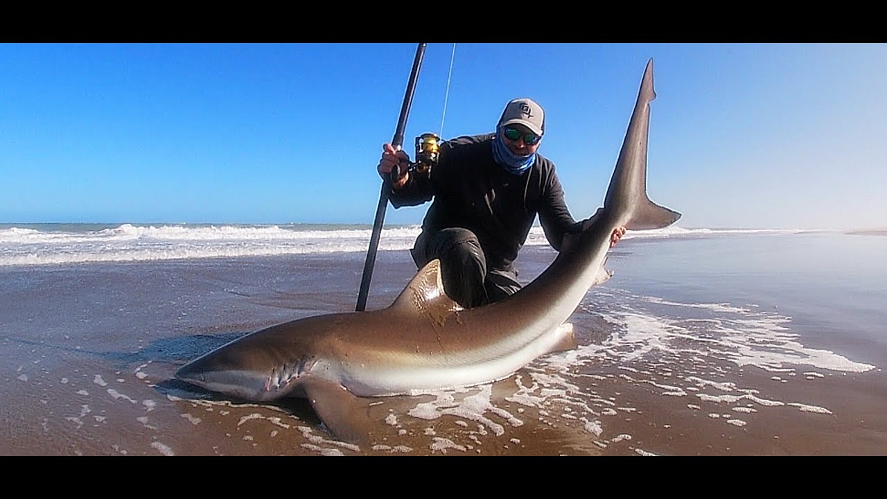 PESCA DE TIBURONES EN EL FARO QUERANDÍ 🦈🔥🇦🇷 (Noviembre 2022)