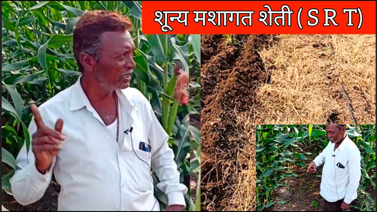 शेती करण्याची नवीन पद्धत | srt tantradnyan sheti | sheti vishayak mahiti royalshetkari