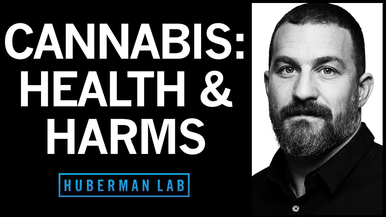 The Effects of Cannabis (Marijuana) on the Brain & Body