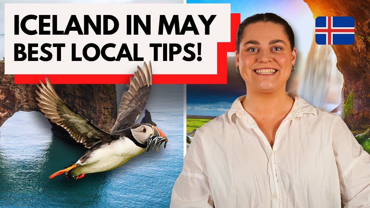Iceland in May 2026 🇮🇸 Puffin Season, Best Tours for May and Local Insights! 🐧☀️