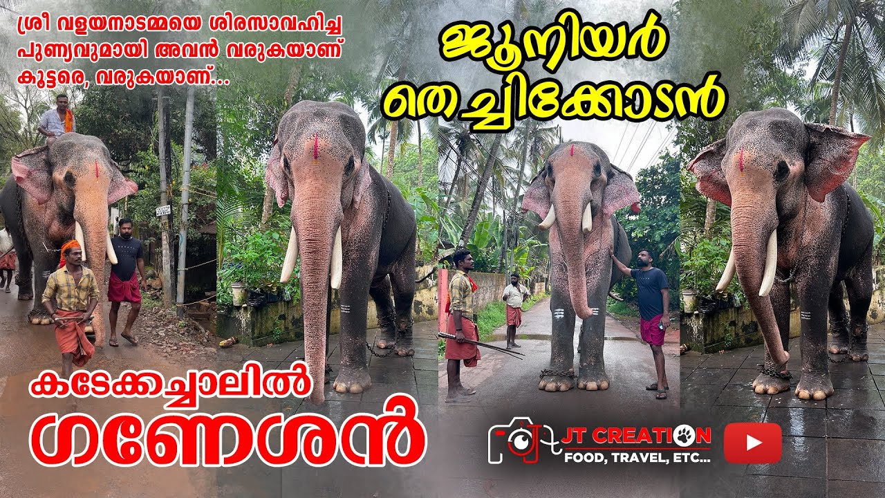 Junior Thechikottukavu Ramachandran | kadekkachalil Ganeshan ആ ഒരു തലയെടുപ്പ് ഒന്ന് കണേണ്ടത് തന്നെ