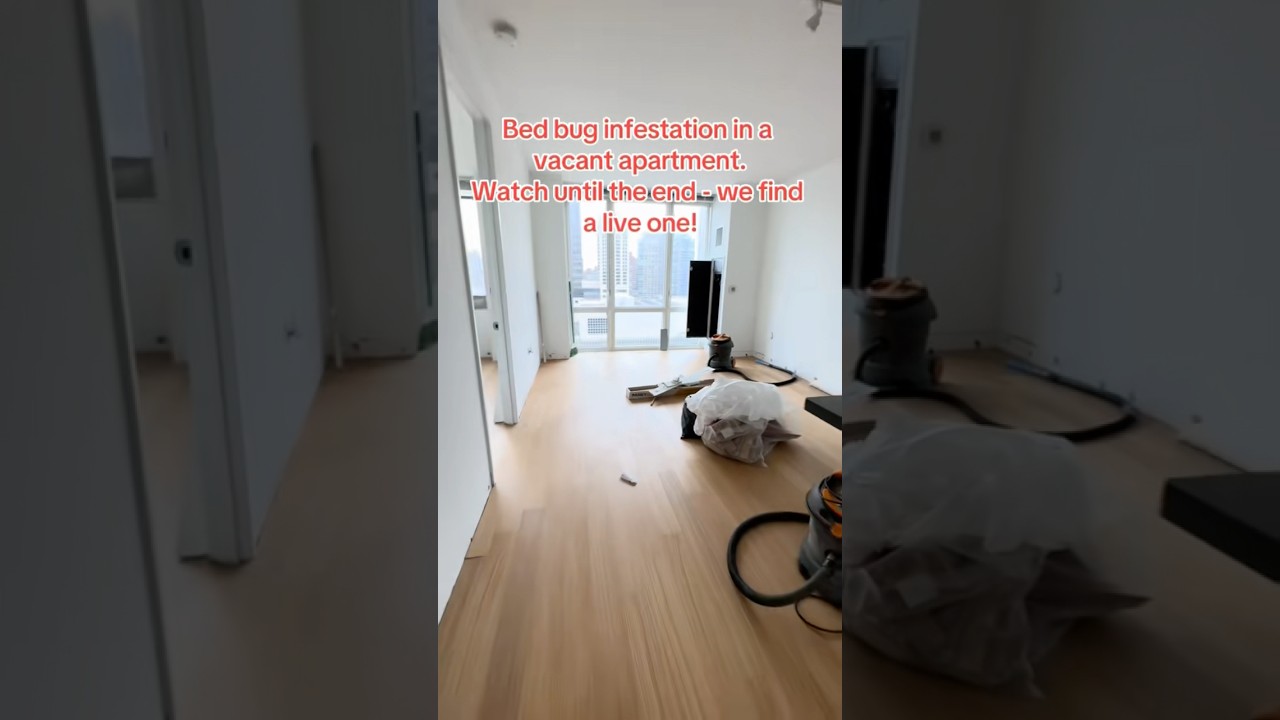 Bed Bug Infestation in a Vacant Apartment (no one&rsquo;s been living here for four months)
