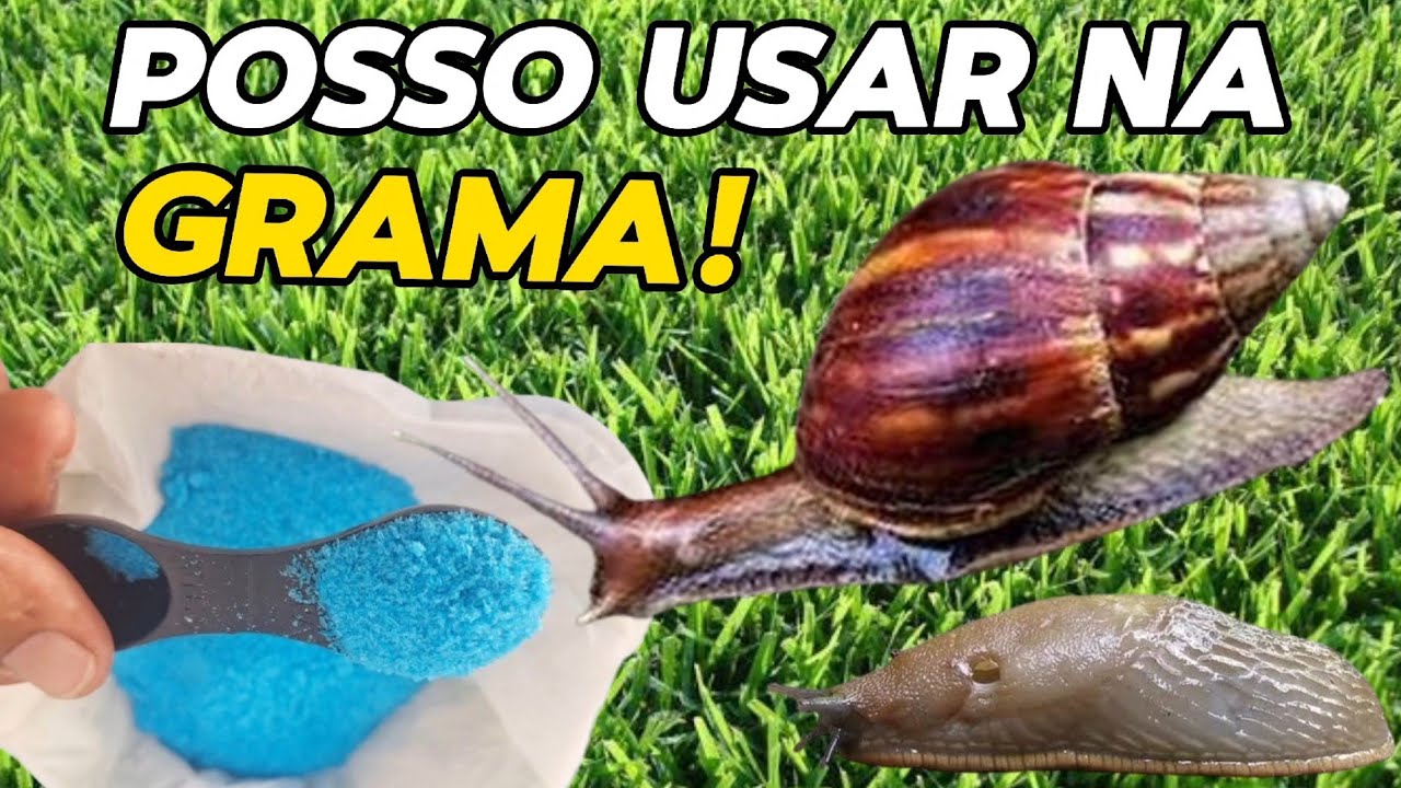 Como matar caramujos e lesmas usando o sulfato de cobre corretamente