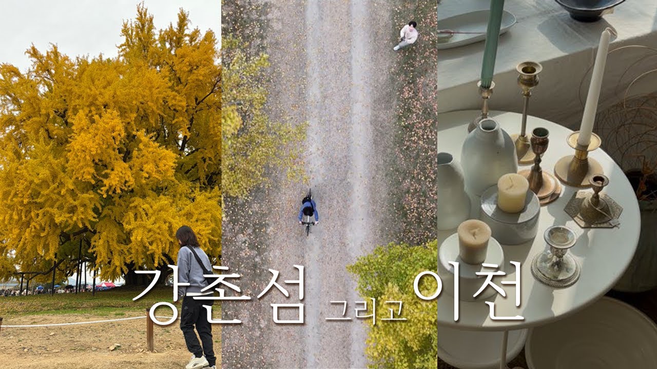 주말나들이 추천✨ | 반계리은행나무, 강천섬 유원지, 이천도자기마을 | 주말VLOG 🍂