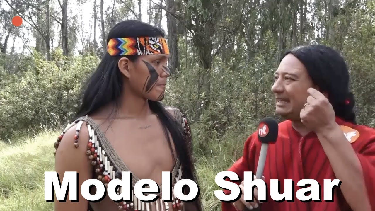 Mashi - El modelo Shuar