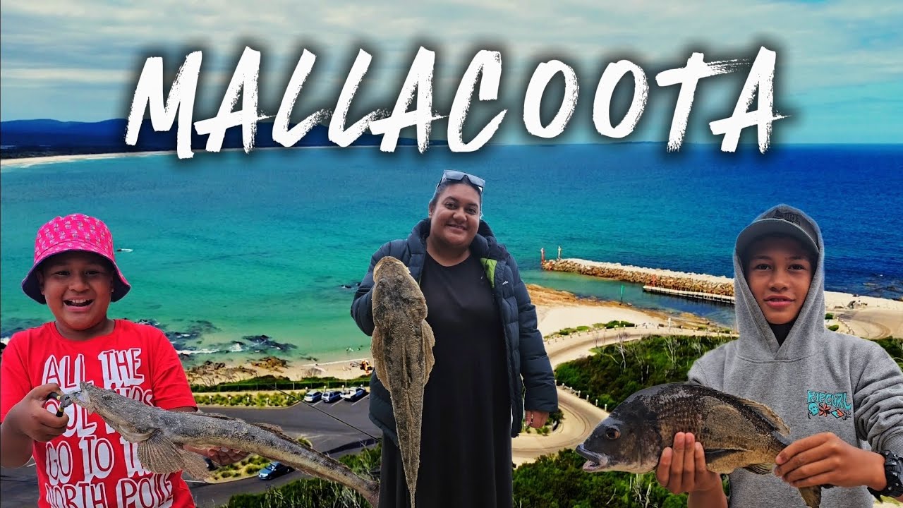 Mallacoota Camping Trip (2025)