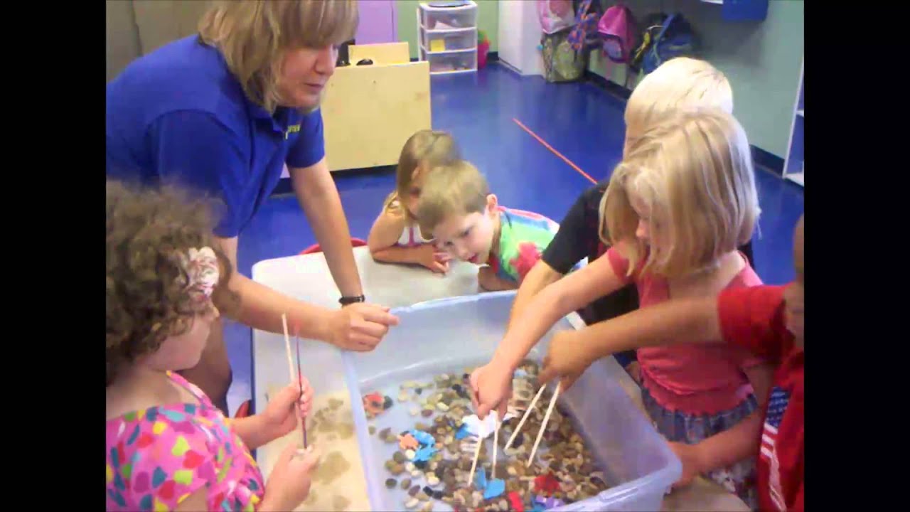 Celebree Learning Centers ~ Great Barrier Reef