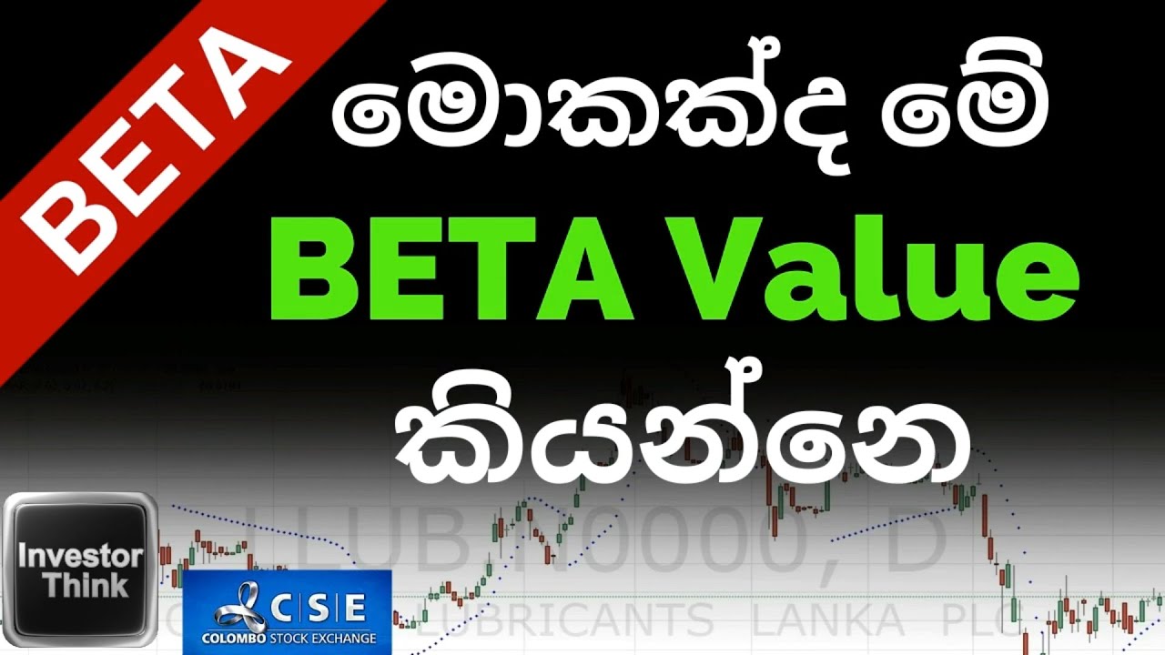 🇱🇰මොකක්ද මේ BETA Value කියන්නෙ |Signal of Volatility of a Stock | Recap