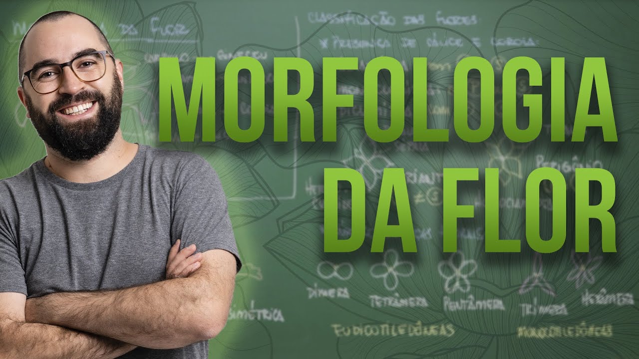 Organologia da Flor (Morfologia) - Aula 18: Botânica (Prof. Guilherme)