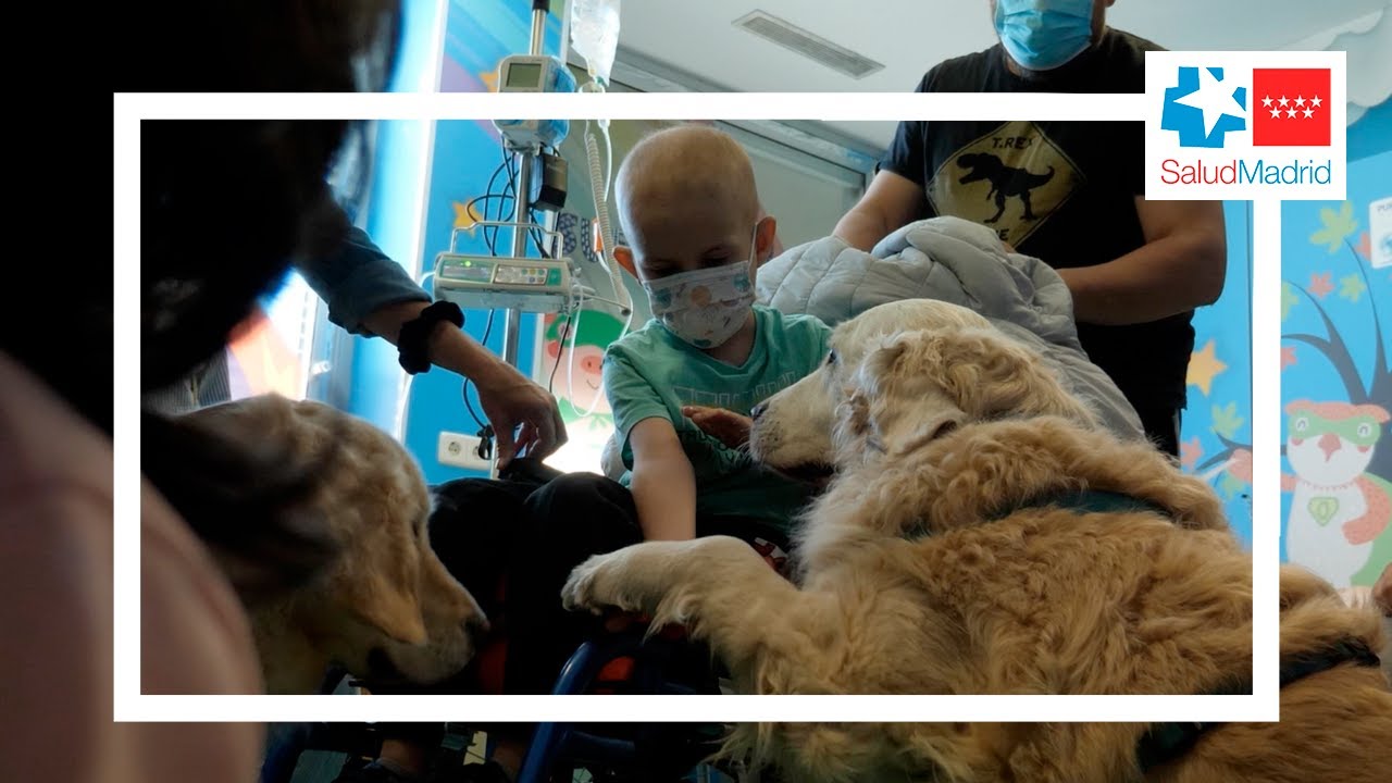 Hospital 12 de Octubre - Terapia con animales en el paciente oncológico pediátrico