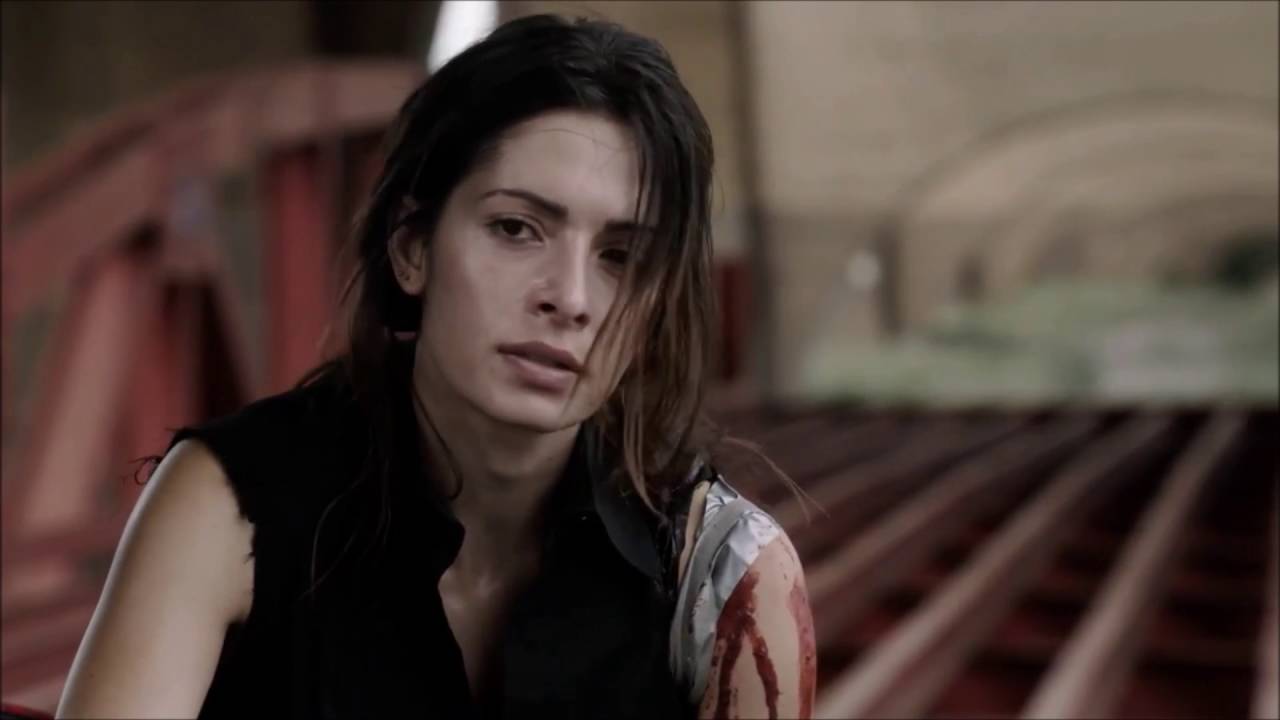 Sameen Shaw - Animal I Have Become