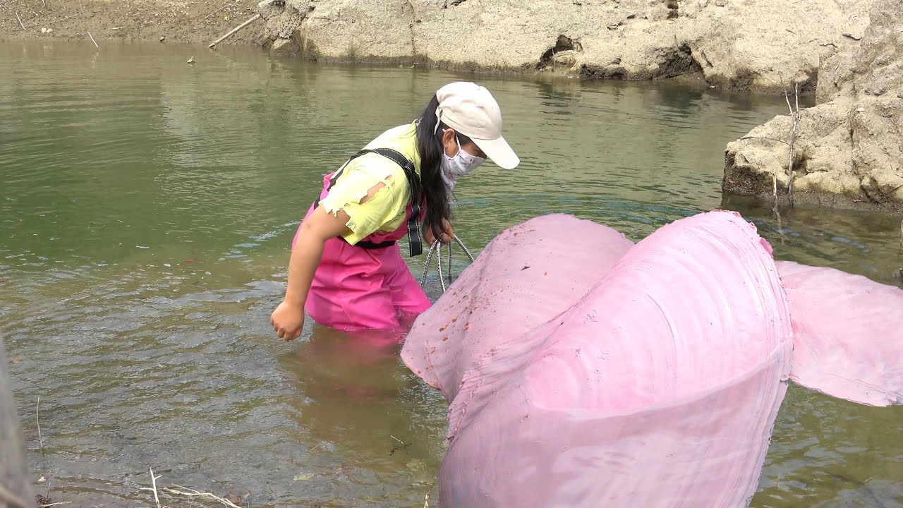 The girl picked up the giant clam and was pleasantly surprised to find countless gorgeous pearls
