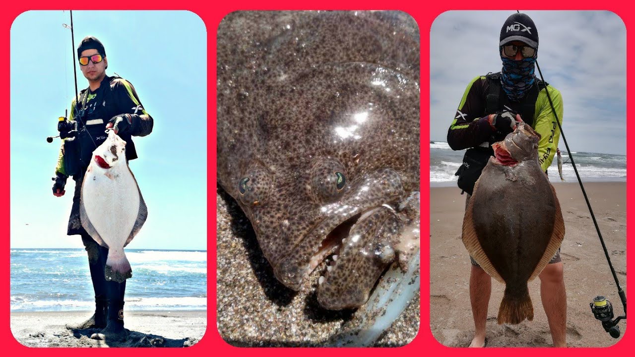 taller de pesca de lenguados con pejerrey