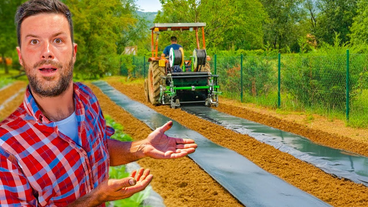 Ho COMPRATO una NUOVA PACCIAMATRICE per TRATTORE: l'agricola CRESCE!