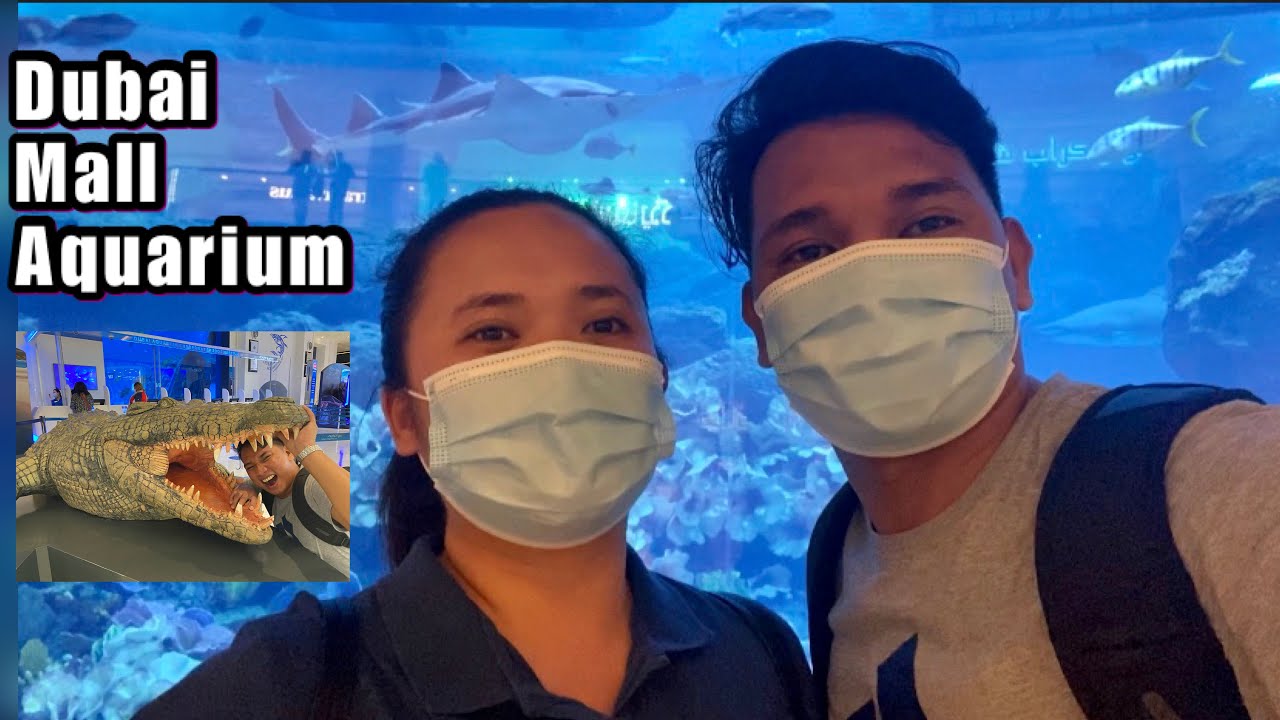 The Dubai Mall Aquarium 2020