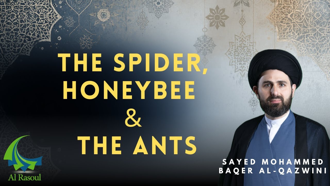 The Spider, Honeybee & The Ants - Sayed Mohammad Baqer Al-Qazwini