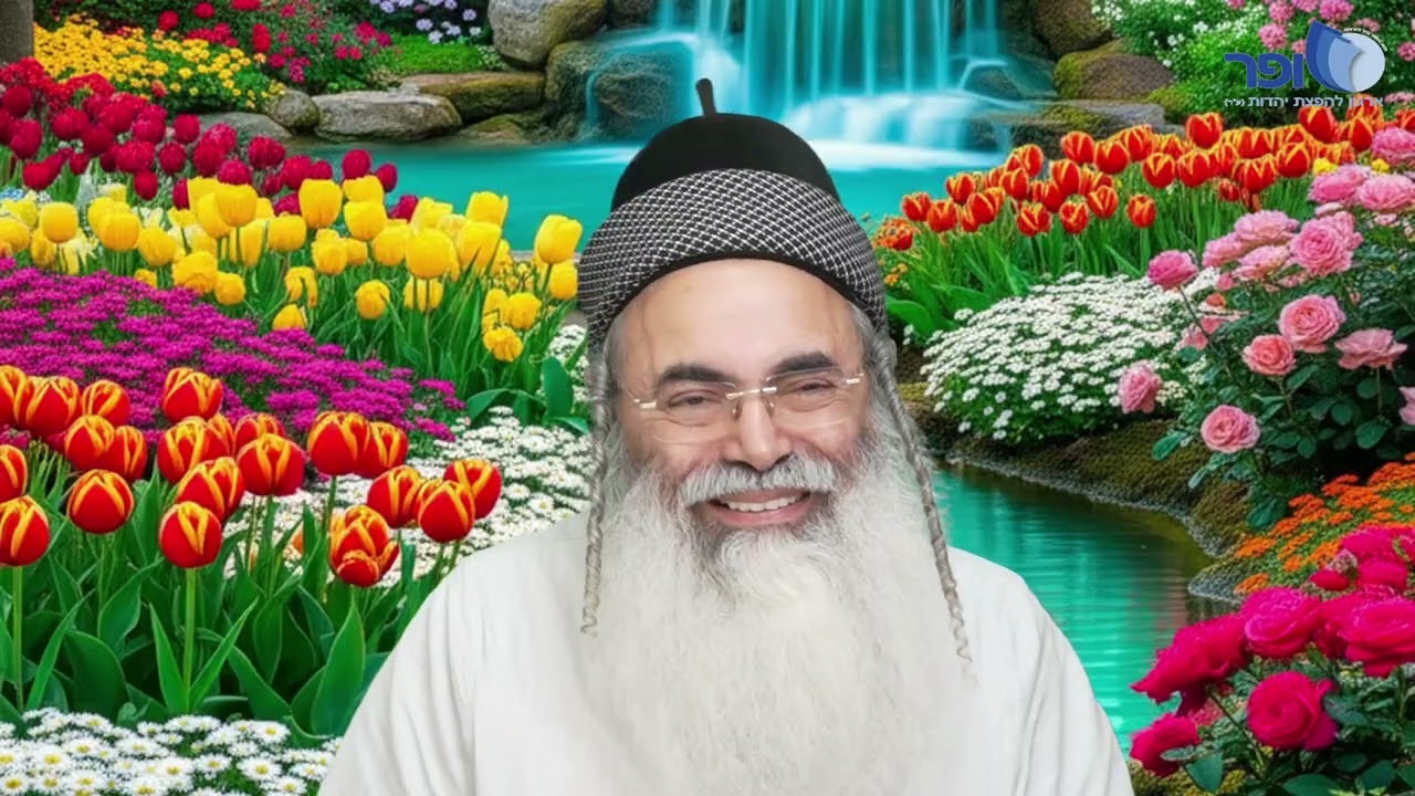 Insights and New Interpretations on Parashat Mishpatim | Rabbi Amnon Yitzchak.
