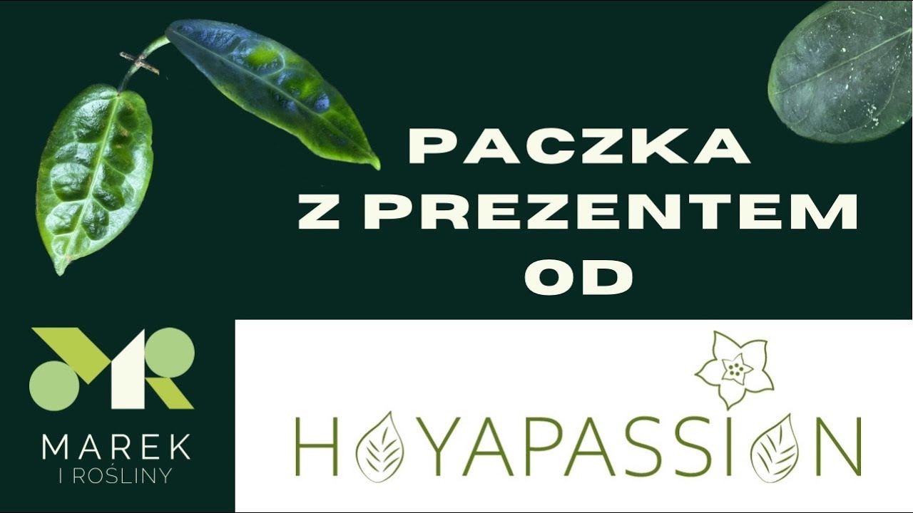 Paczka z prezentem od HOYAPASSION💚😻