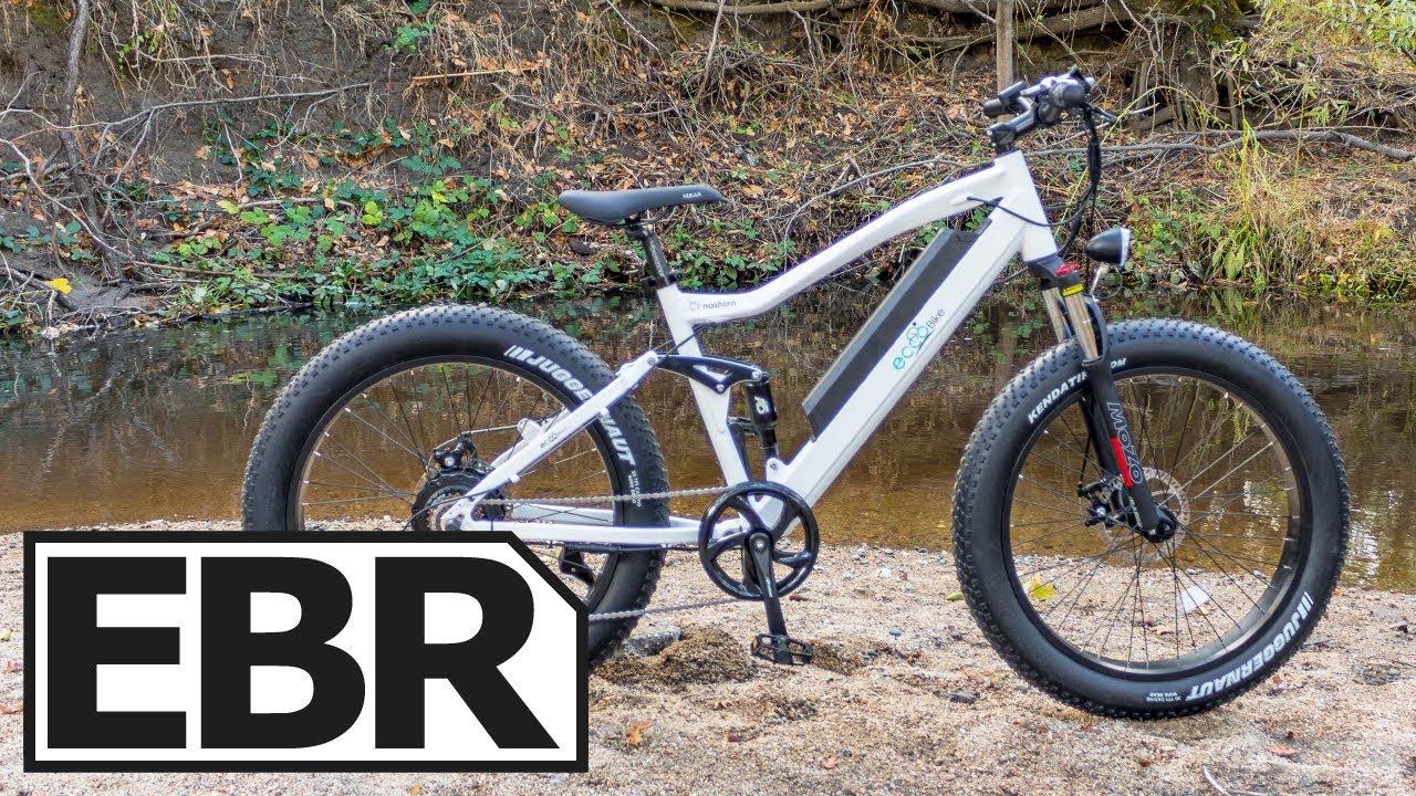 EccoBike Nashorn Review - $1.6k