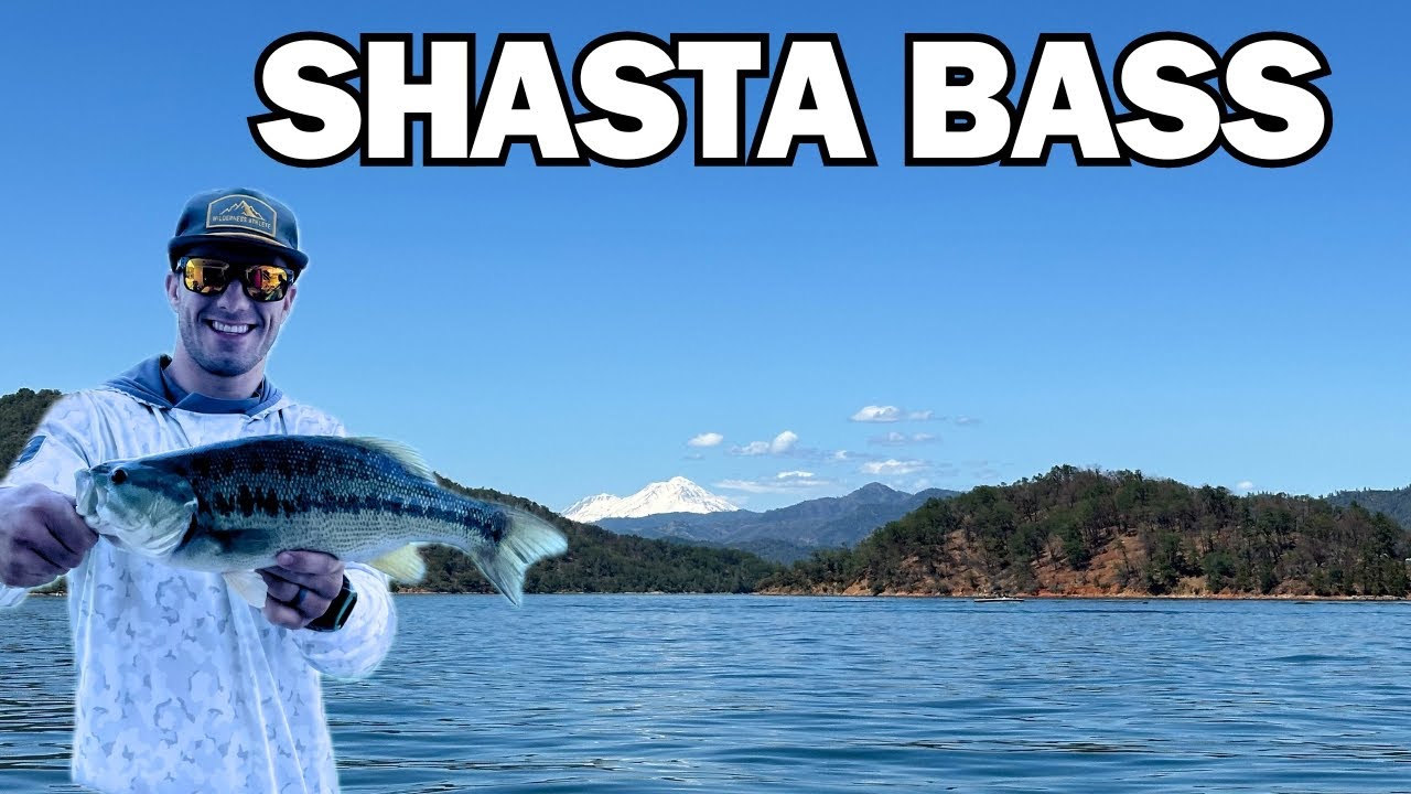 Figuring Out Shasta Lake Summer Fishing!