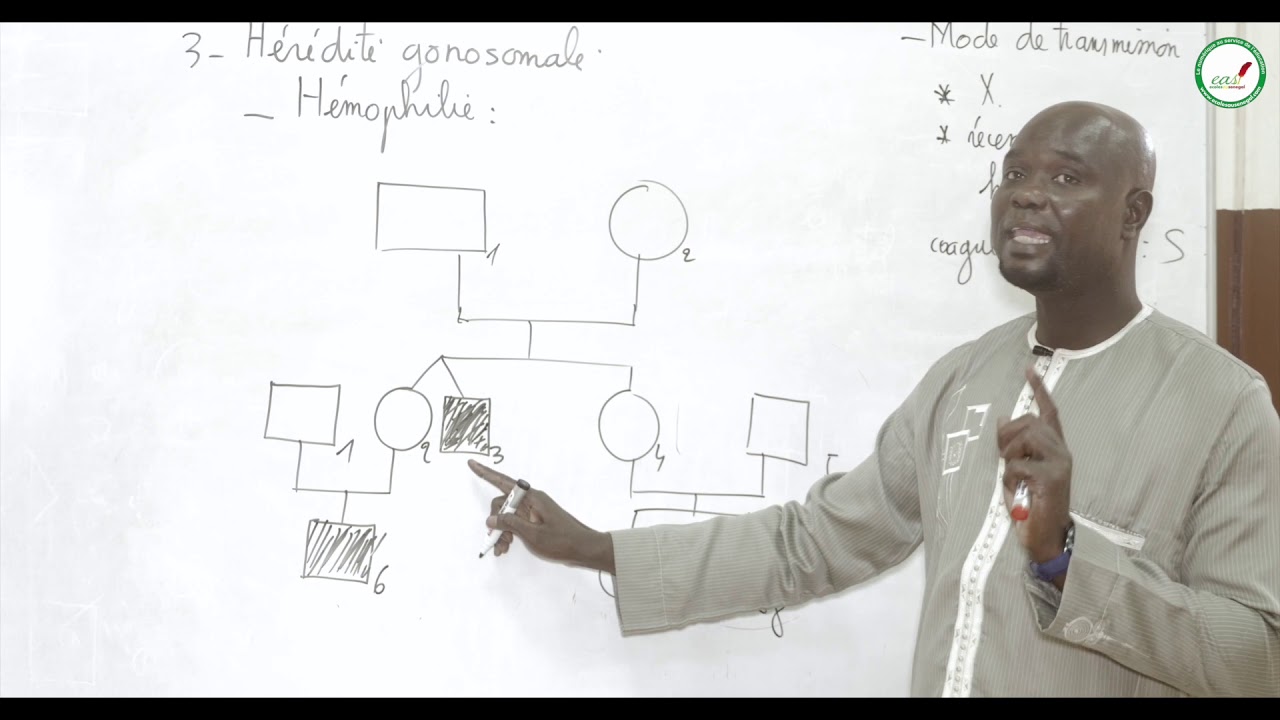 Cours - Terminale - SVT : Hérédité humaine / Hémophilie