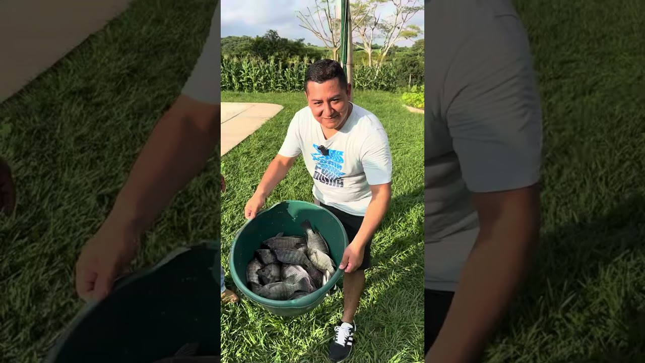Venta de coco Brazile&ntilde;o y tilapia en El Salvador 
