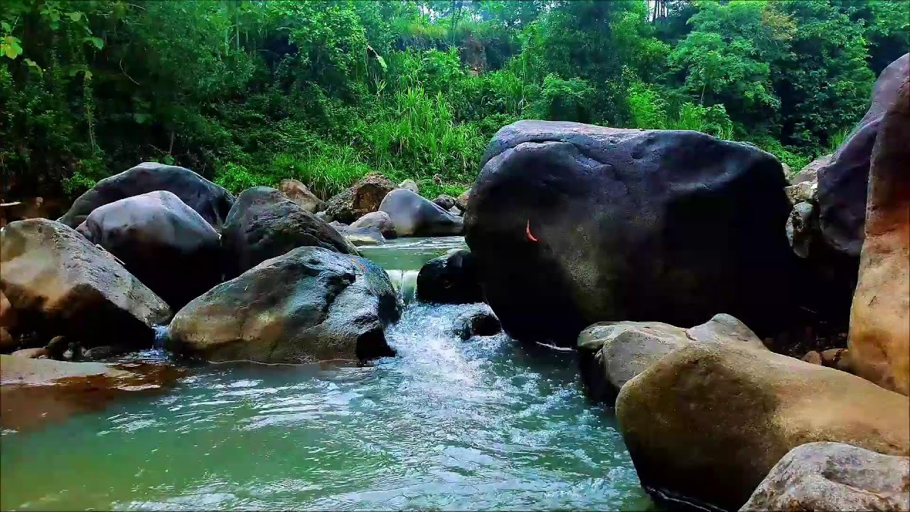 White Noise for Studying Nature – Soft Forest Stream to Improve Concentration