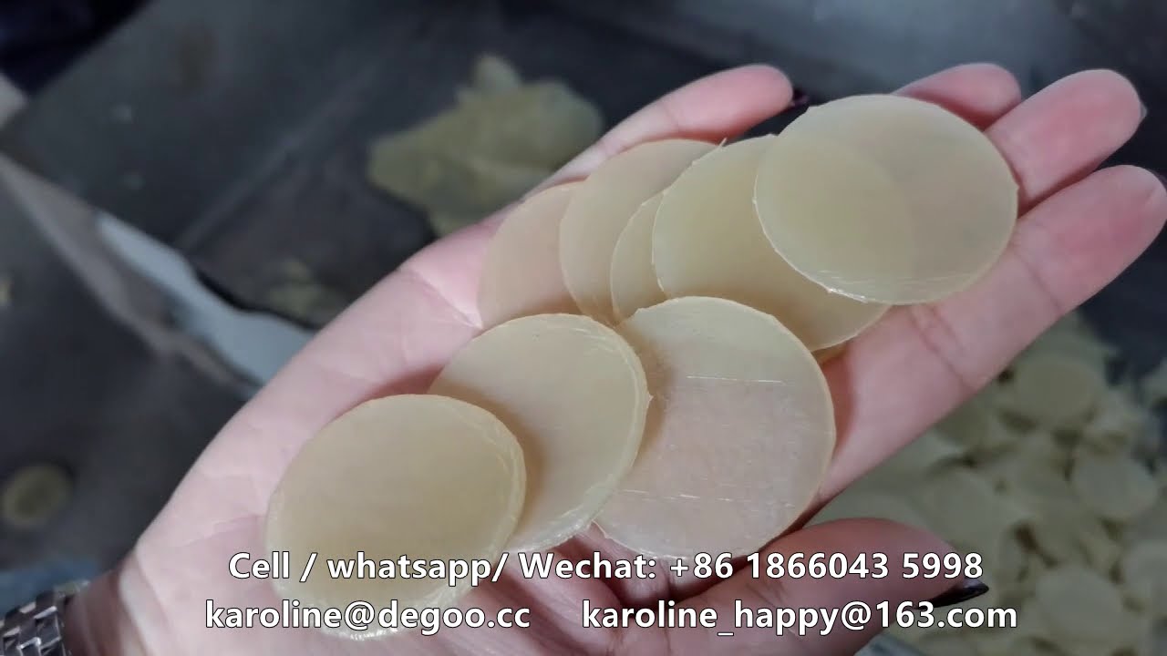 pani puri snacks pellet fryums pallet food extruder making machine by Jinan DG Machinery Karoline