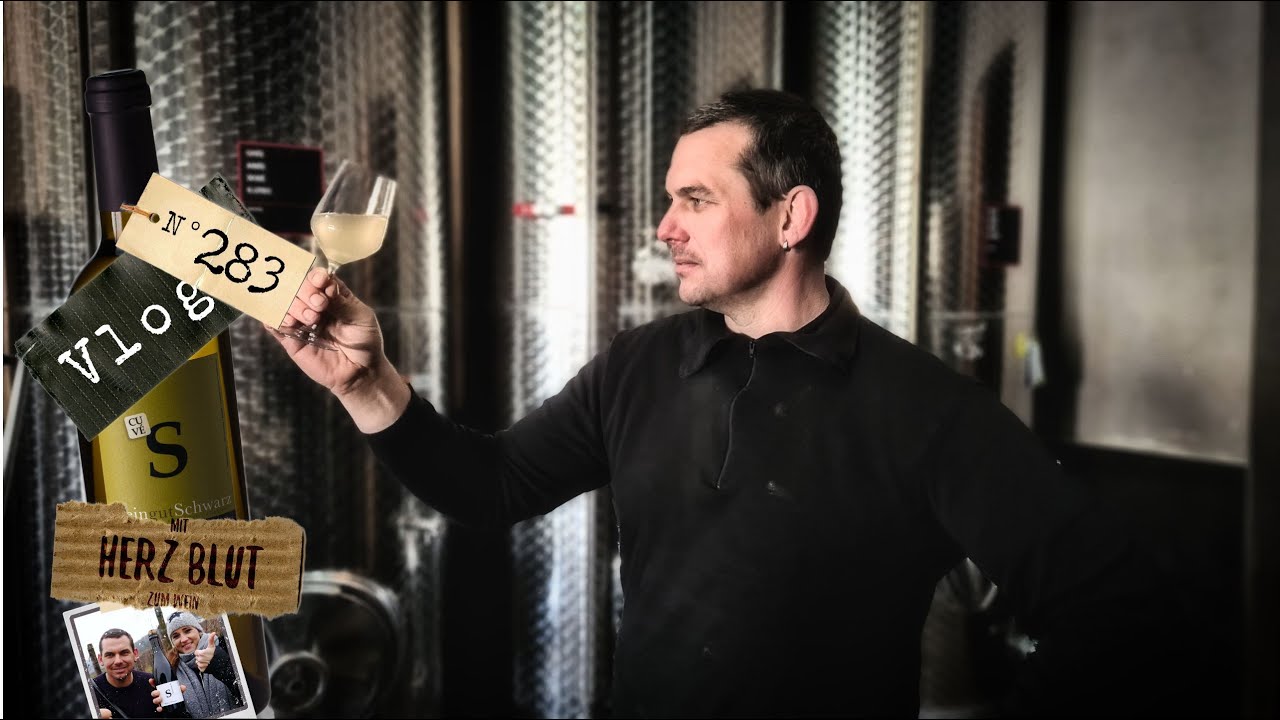 Warm oder kalt? Und die drei wichtigsten Säuren im Wein! | mit Herzblut zum Wein Vlog #283