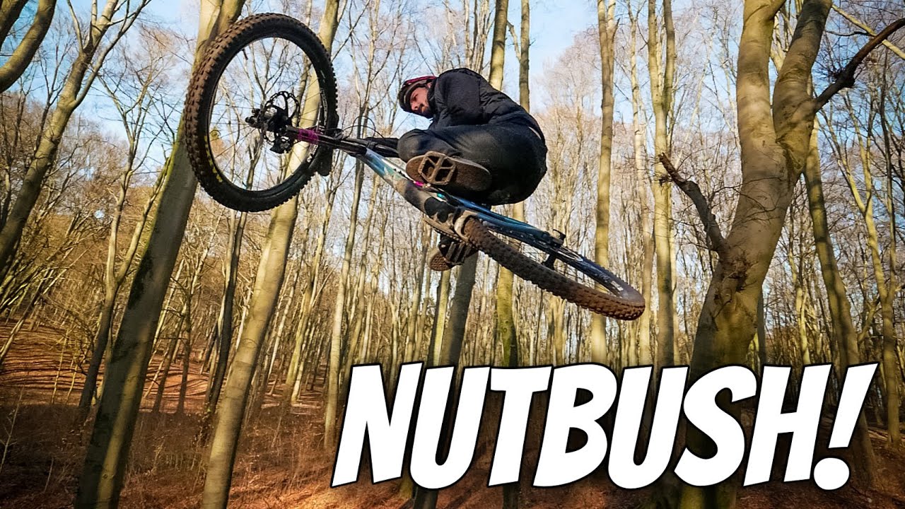 Da wird die Nuss in der Pfanne verrückt Nutbush Forrest Trailpark #19