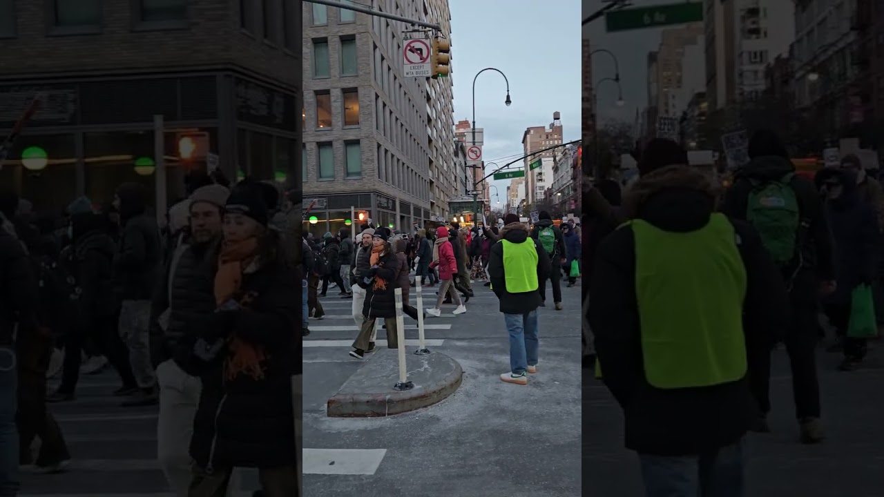 Rise and Resist Protest in NYC, organized by the usual gang of idiots