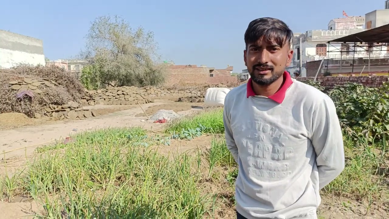 शहर की भागदौड़ Vs गांव बड़वा (हरियाणा) का देसी Organic सुकून | देखिए असली भारत , Muku and Kuldeep 