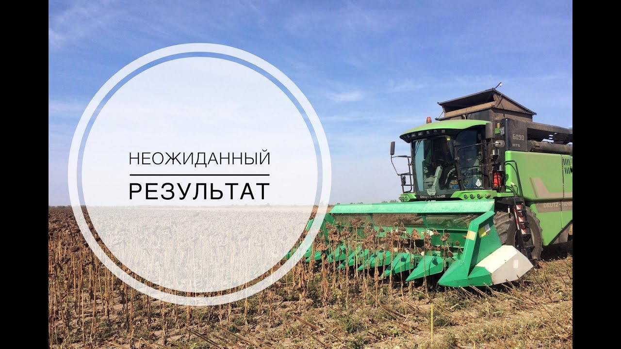 С подсолнечником ПОКОНЧЕНО , неожыданные результаты