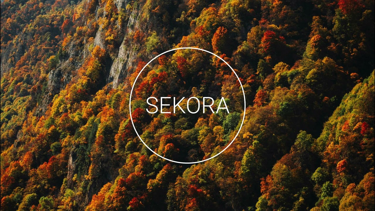 Before the Leaves Fade - Melodic Chill Mix