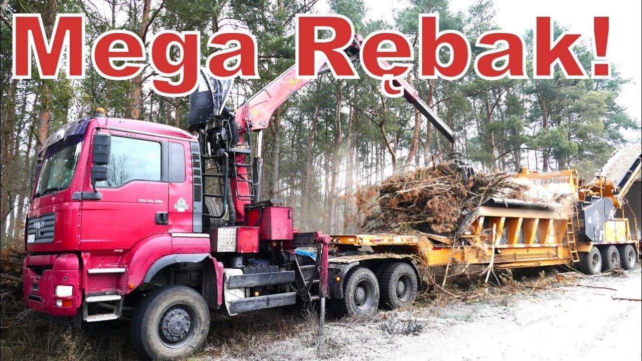 Mega Rębak Bandit Beast 3680! Big Forest Machine!