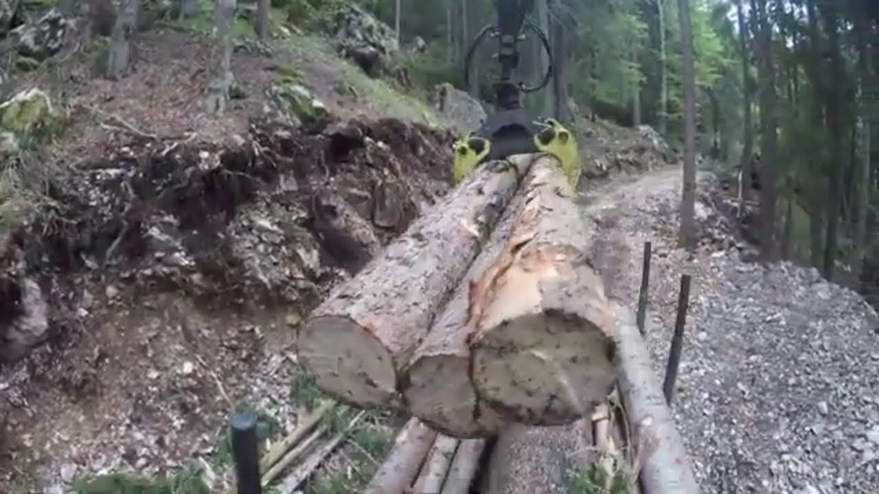 Working with logging crane Palms 840