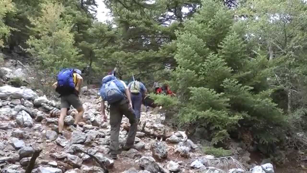 ΚΥΠΑΡΙΣΣΙ -ΛΑΚΩΝΙΑΣ