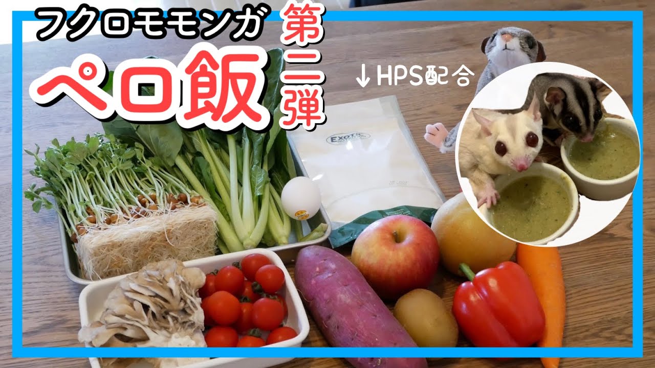 【フクロモモンガ】ペロ飯②の作り方｜目と骨を健康にしよう｜HPS配合