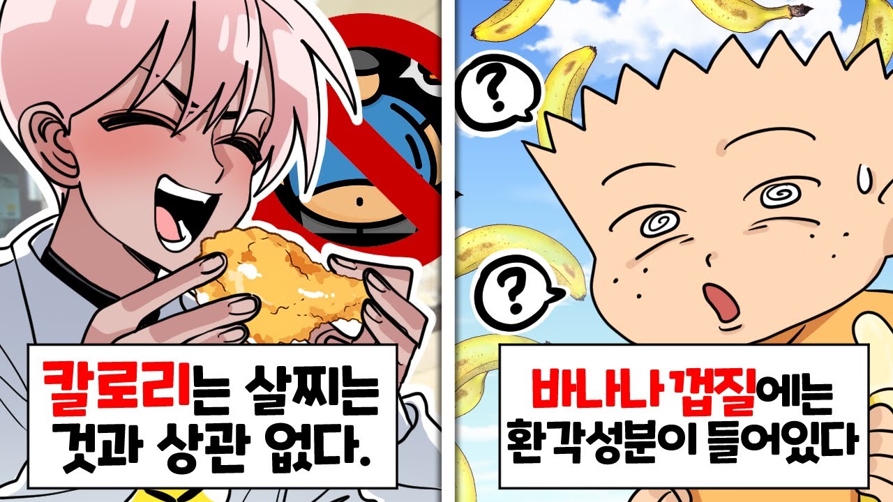 칼로리가 살찌는데 별 영향이 없다고??? [이왜진 음식 월드컵]